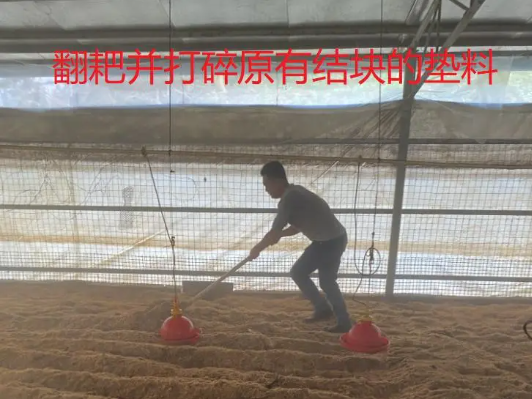 截圖20260420092323.png