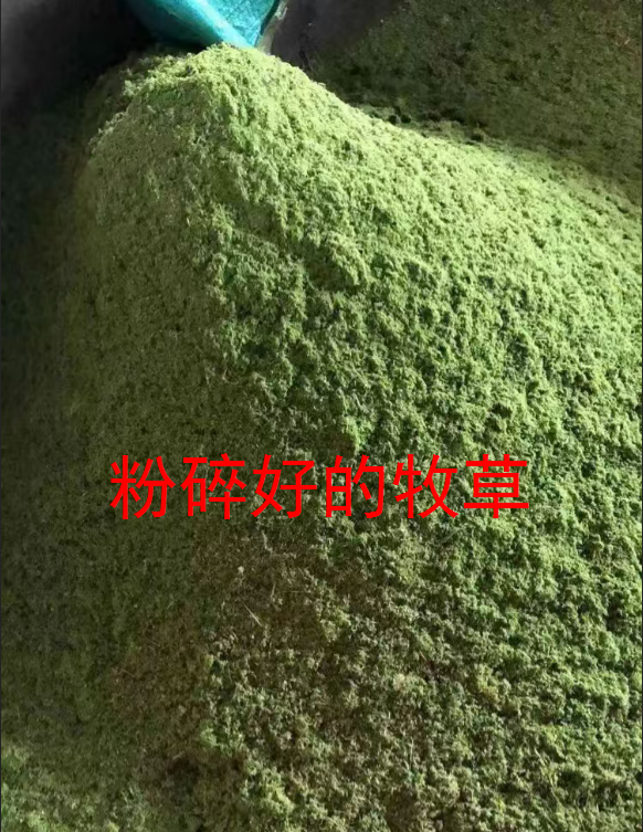 截圖20260423100244.png