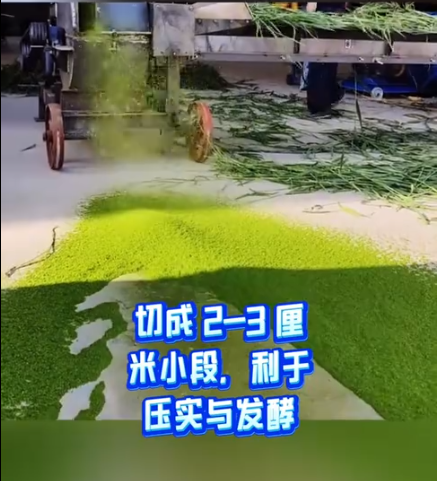 截圖20260320095005.png