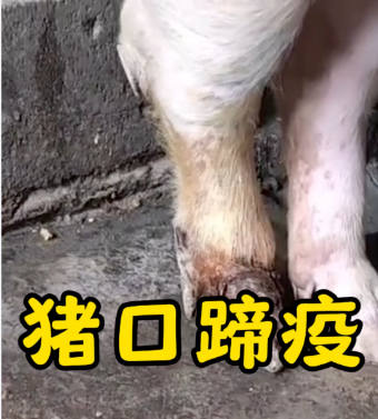 截圖20260506091100.png
