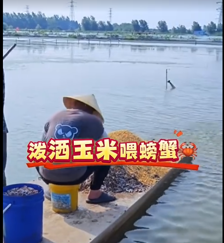 截圖20260509091703.png