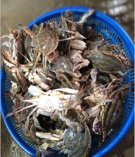 截圖20260509093037.png