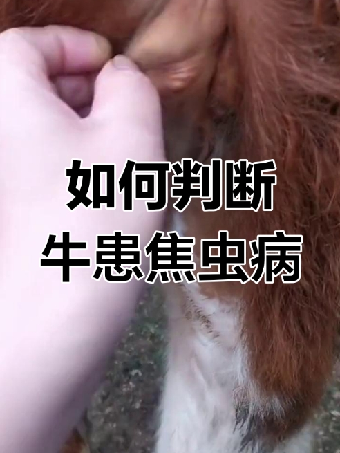 微信截圖_20260512095437.jpg
