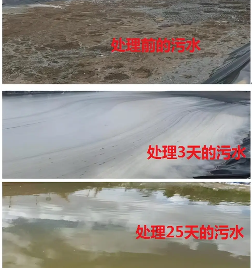 截圖20260512101442.png