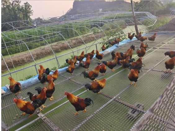 截圖20260513100018.png