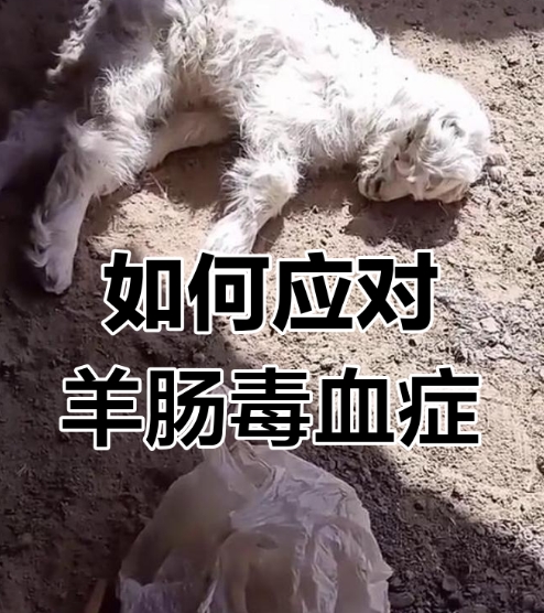 微信截圖_20260519092131.jpg