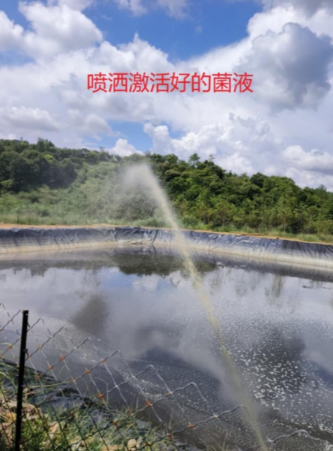 微信截圖_20260519100308.jpg