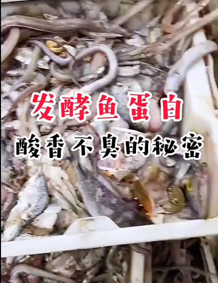 截圖20260521092127.png