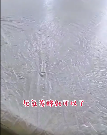 截圖20260521095010.png