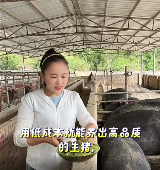 截圖20260522092511.png