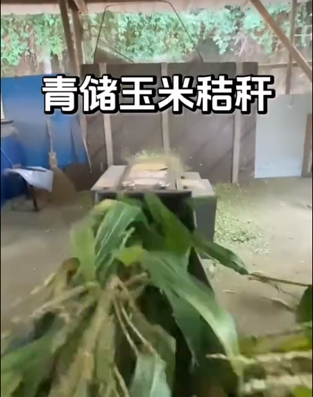 截圖20260526094918.png