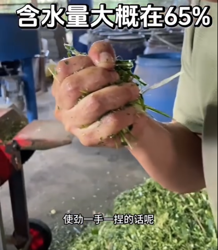 截圖20260526095030.png