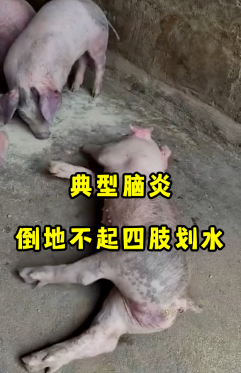 截圖20260526101023.png