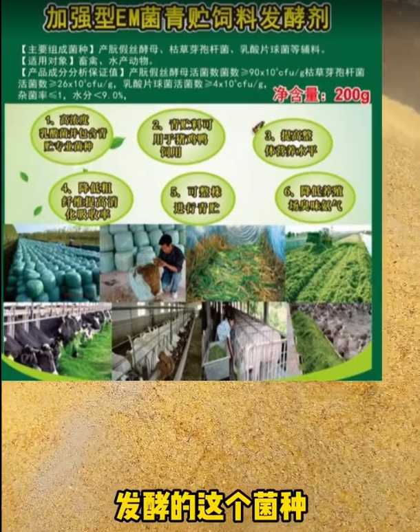截圖20260529091501.png