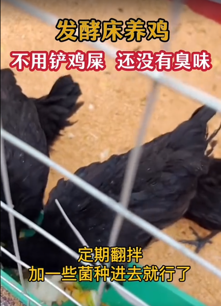 截圖20260529152459.png