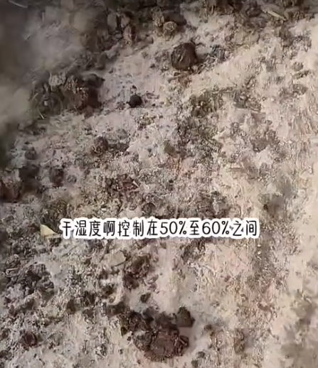 截圖20260602090122.png