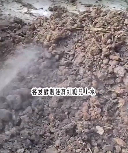 截圖20260602090809.png
