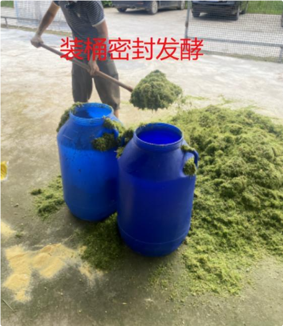 a5a7d18fb6ba1dddab6683cb060bf8a2_17806274721332578.png