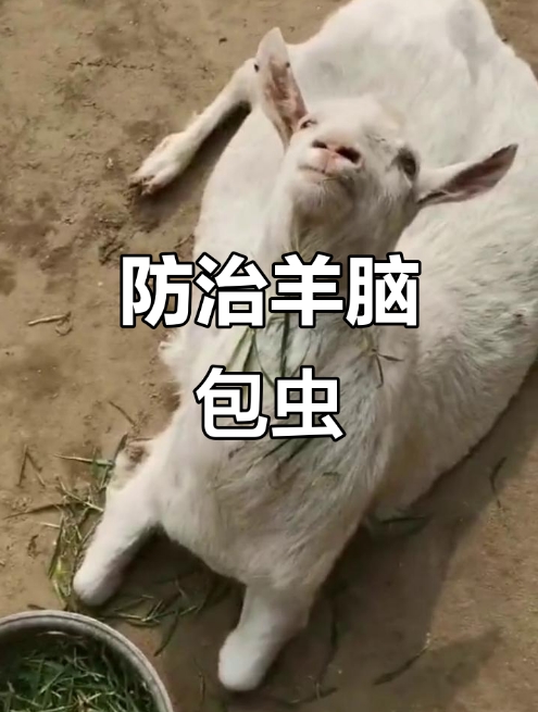 微信截圖_20260608090625.jpg