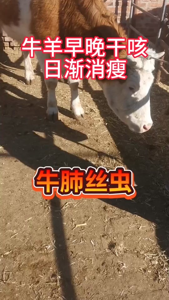 微信圖片_20260609100948.jpg