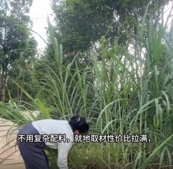 截圖20260611093222.png