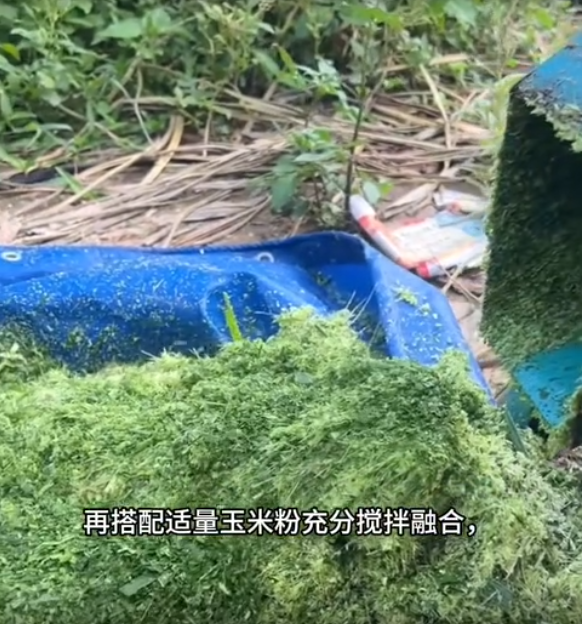 截圖20260611093342.png