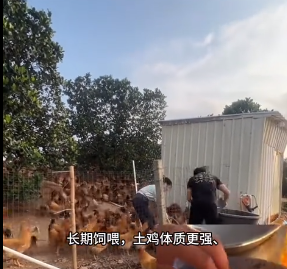 截圖20260611100815.png