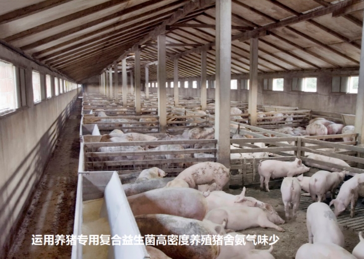 微信截圖_20260611102537.jpg