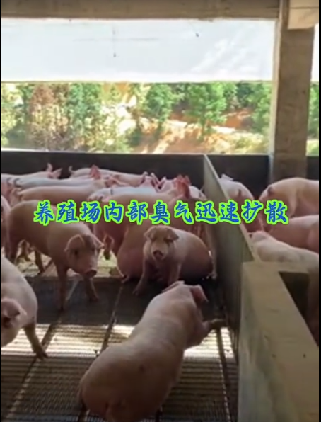 截圖20260612100352.png