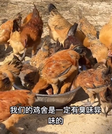 截圖20260617092254.png