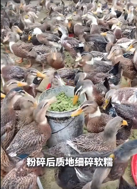 截圖20260618091750.png
