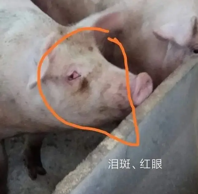 截圖20260623095924.png