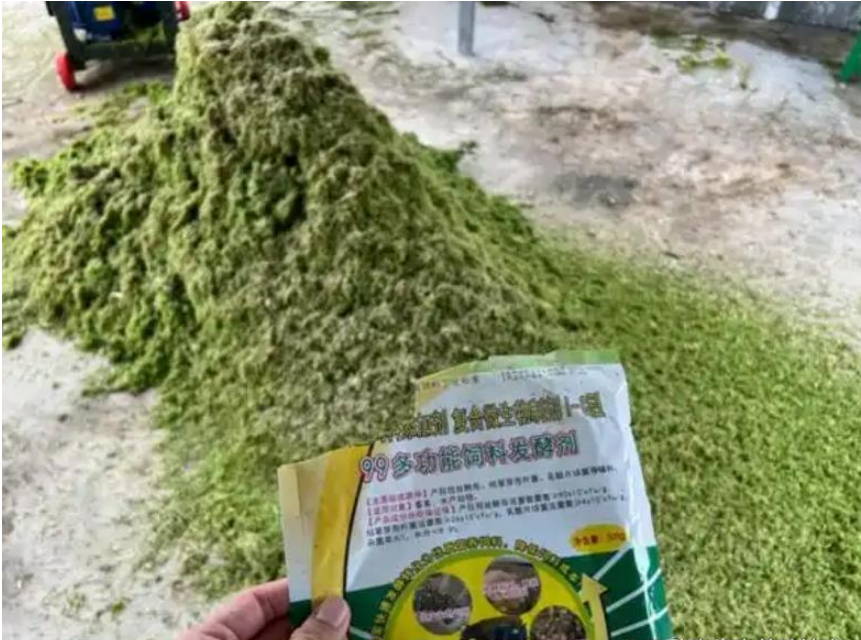 QQ圖片20260512162521.png