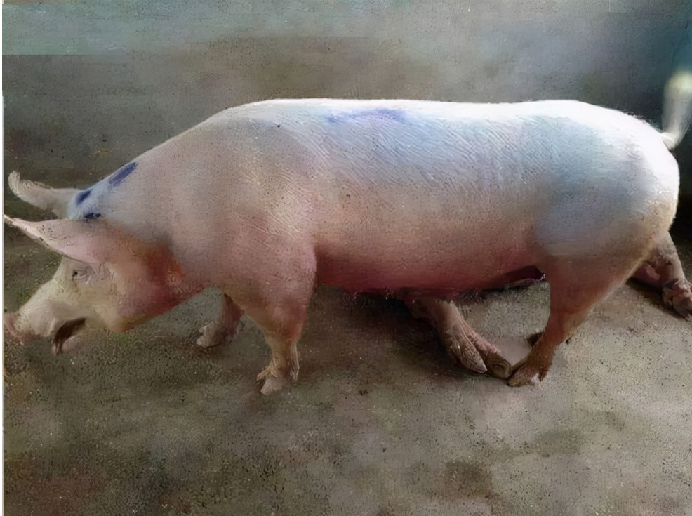 截圖20260624094152.png