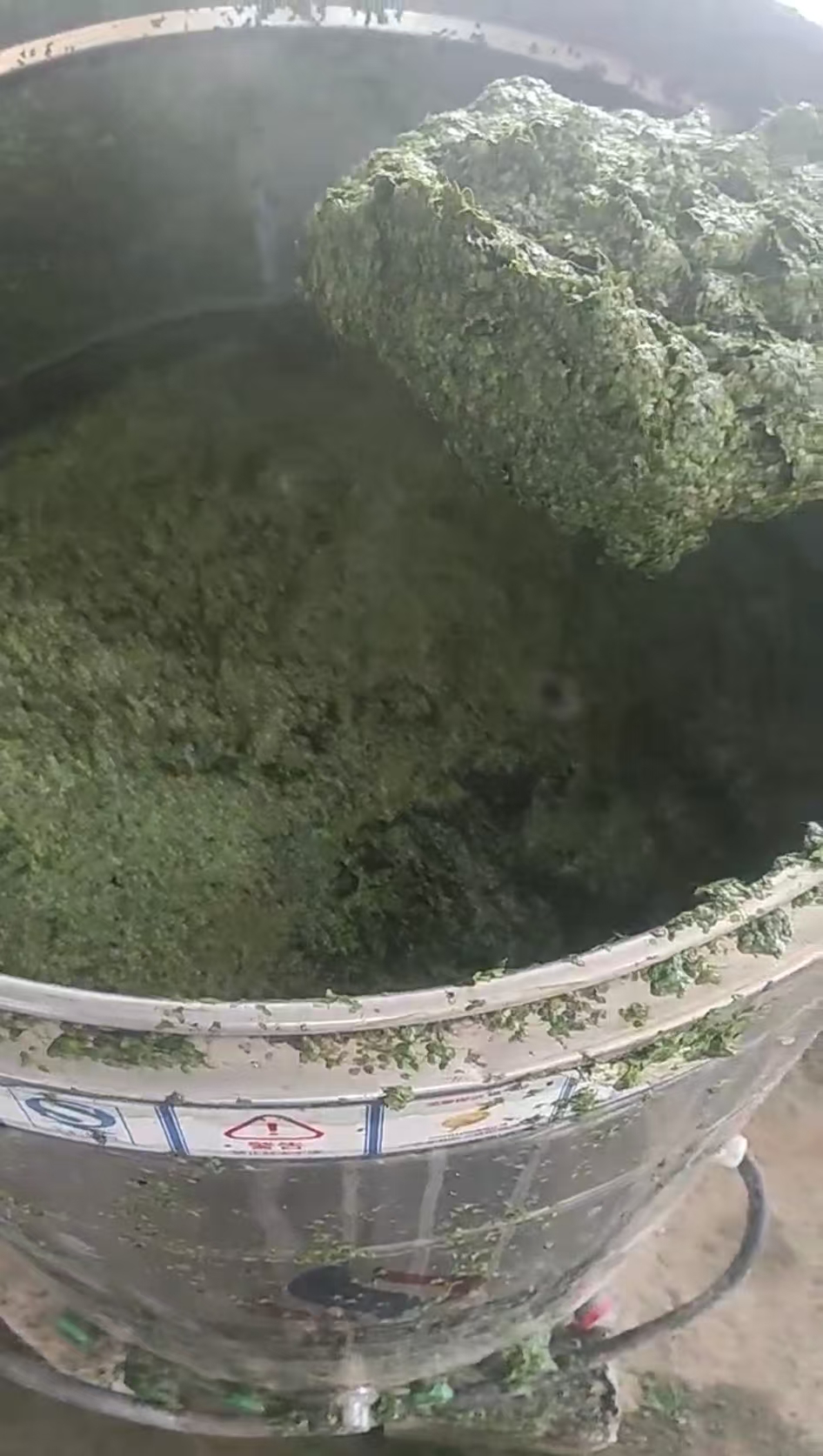 微信圖片_20260528173600_419_8.jpg