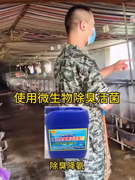 截圖20260626100206.png