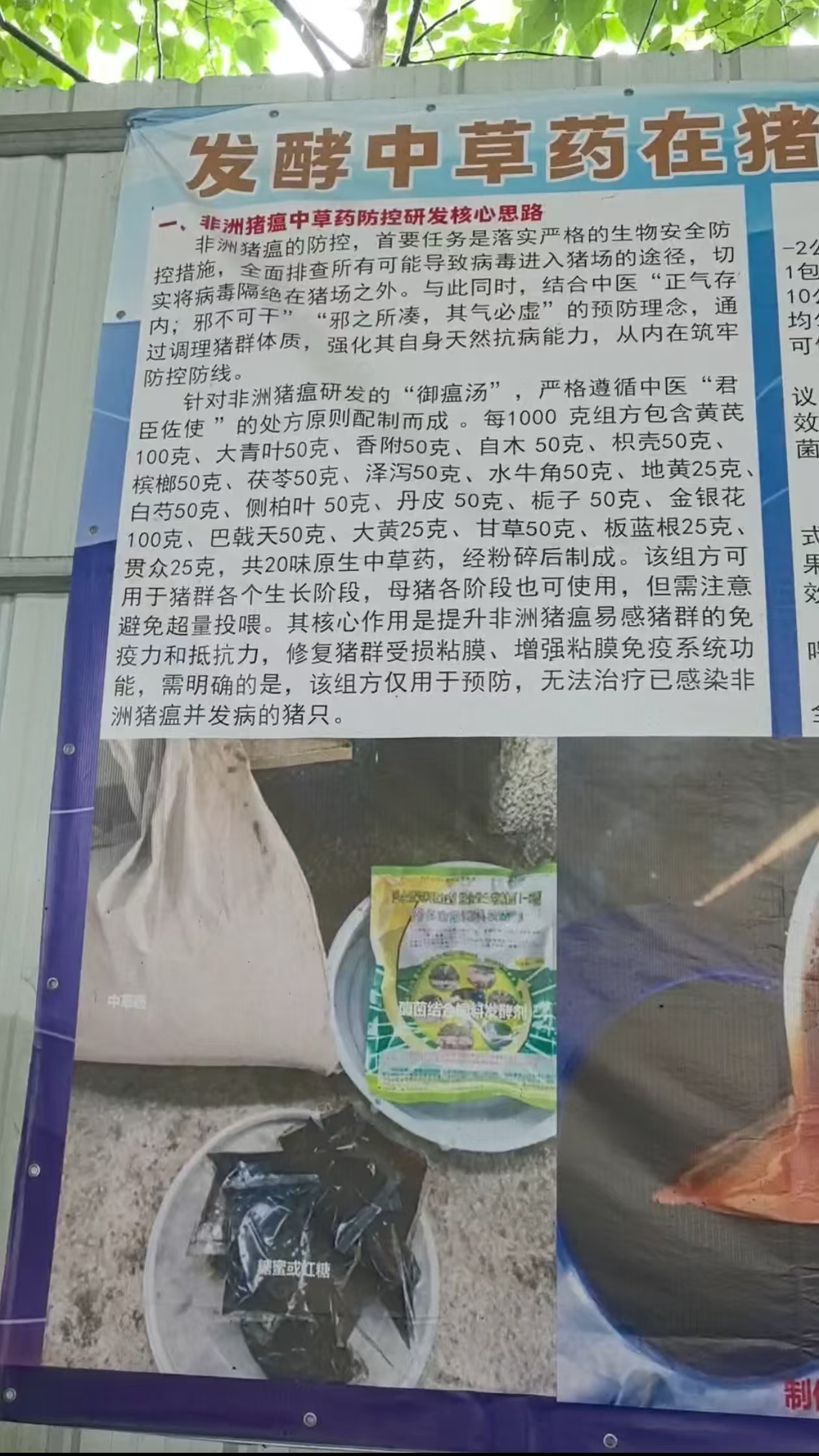 微信圖片_20260626101157_516_8.jpg