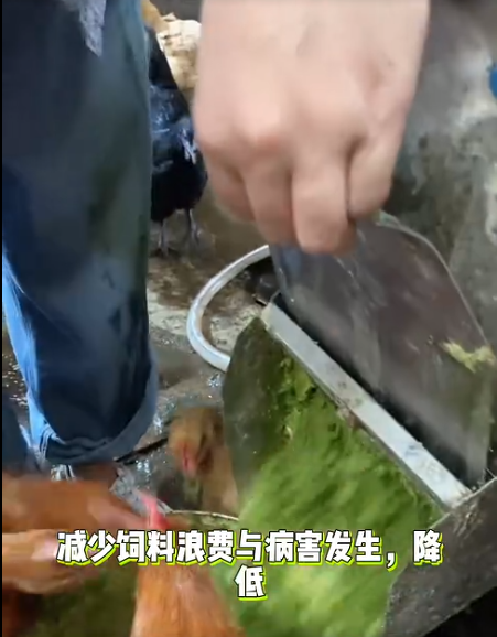 截圖20260627090321.png