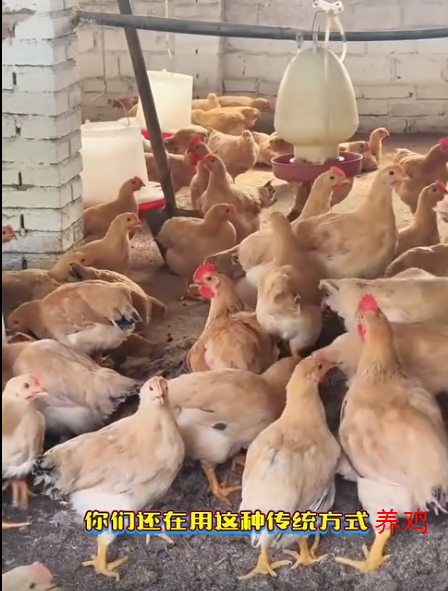 截圖20260630091858.png