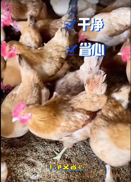 截圖20260630093951.png