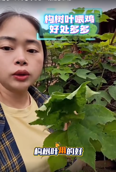 截圖20260701092645.png
