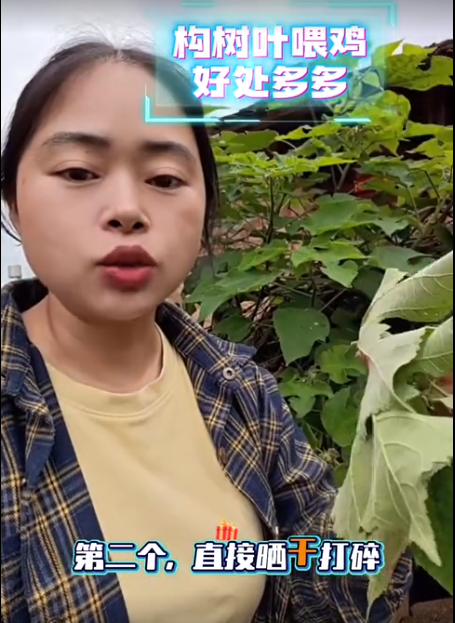 截圖20260701093113.png
