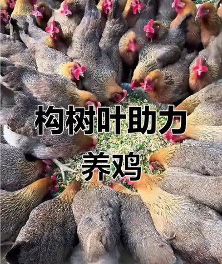 截圖20260520092720.png