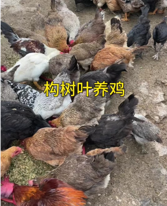 截圖20260520093006.png
