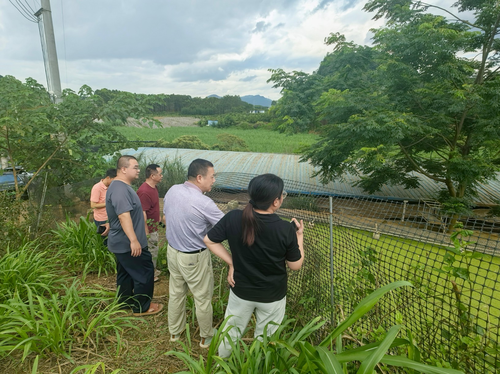畜牧研究院蒞臨助農(nóng)基地指導(dǎo)調(diào)研2.jpg