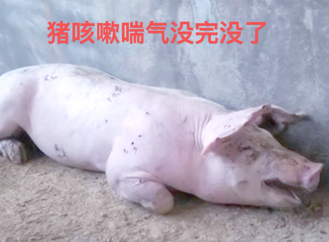微信圖片_20260707103617.jpg
