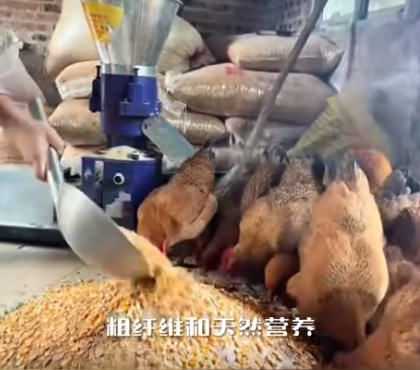 截圖20260708091837.png