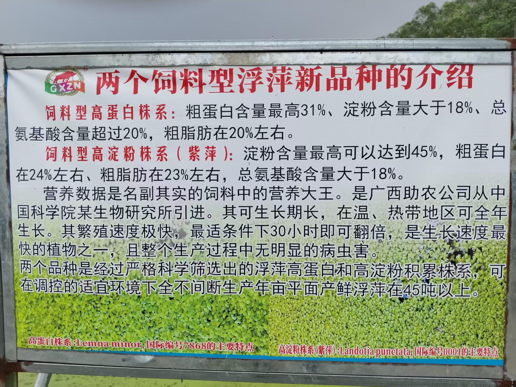 ff42ac1112e45228e479e4b7b49ee22a.jpg