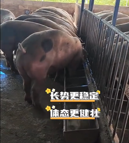 截圖20260710093152.png
