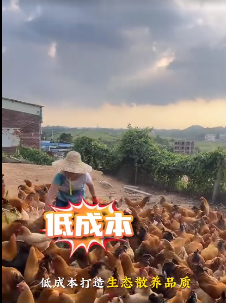 截圖20260711100825.png